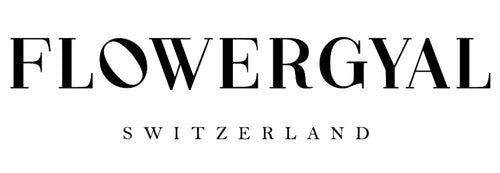 Mein Shop
